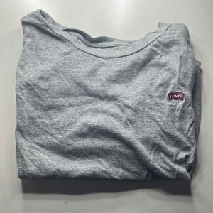Grey Levis crop